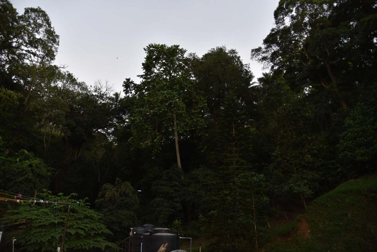 Lodge In 611 Kandy Exterior foto